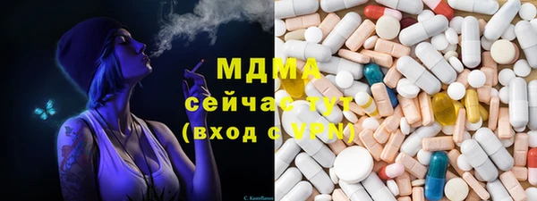 индика Алексин