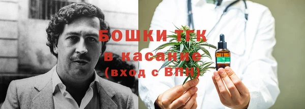 индика Алексин