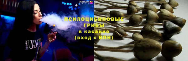 гидропоника Алзамай