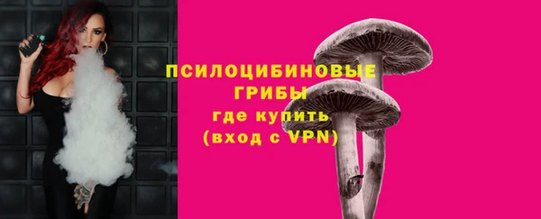 индика Алексин