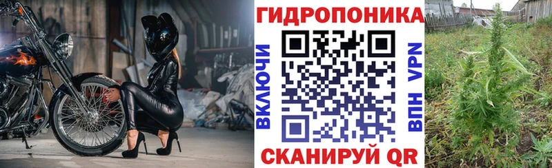 Шишки марихуана индика Томмот